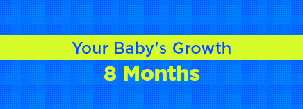 Your Baby's Growth: 8 Months
