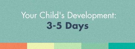 Your Child’s Development: 3-5 Days