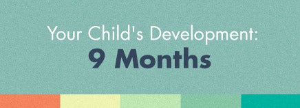 Your Child's Development: 9 Months