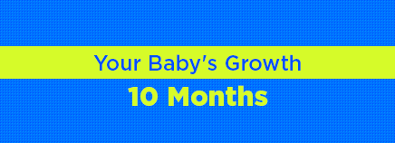 Your Baby's Growth: 10 Months