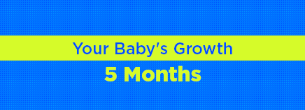 Your Baby's Growth: 5 Months