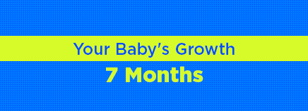 Your Baby's Growth: 7 Months