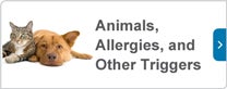 Animals, Allergies, and Other Triggers
