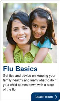 Flu basics