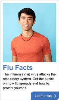 Flu facts