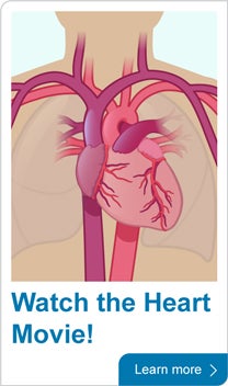 Watch the heart movie!