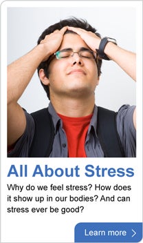 All about stress