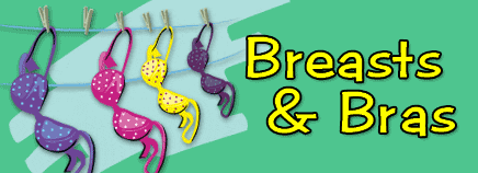 Breasts and Bras (for Kids)