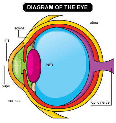 eye diagram web