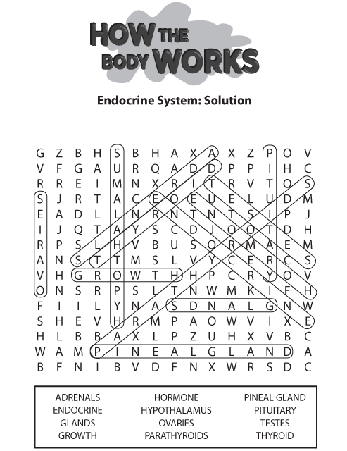 How the Body Works Endocrine System Solution. This page was designed to be printed. We are working on creating an accessible version.