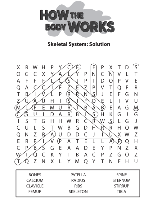 How the Body Works Skeletal System Solution. This page was designed to be printed. We are working on creating an accessible version.