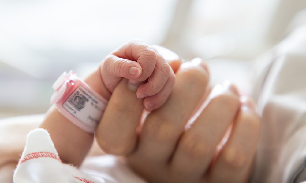 Norton Children's Neonatology