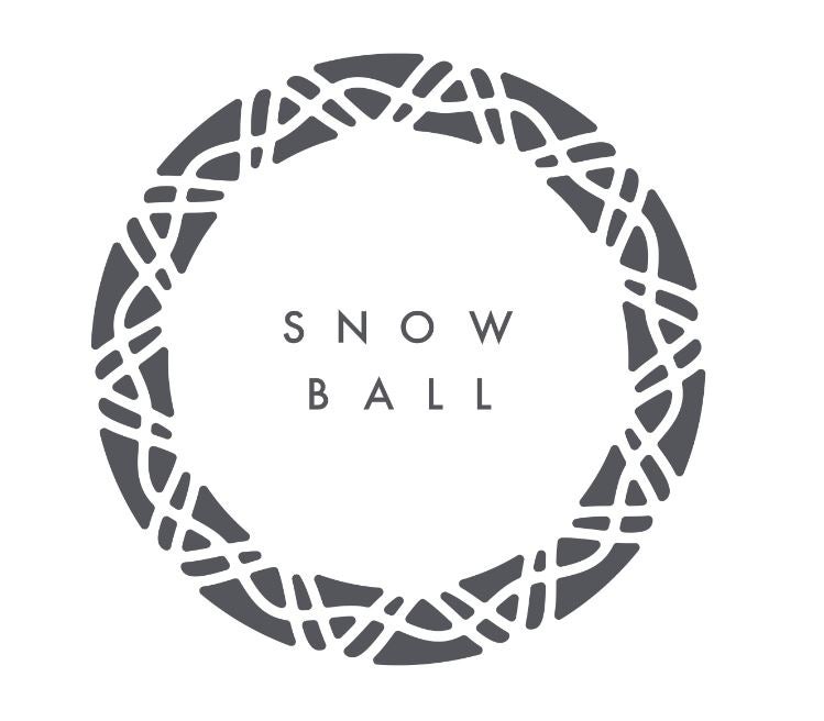Snow Ball Gala Norton Children's Louisville, Ky.